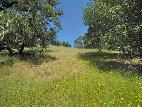 Other - 1575 Foxridge Rd, Geyserville, CA 95441 photo 8 of 13