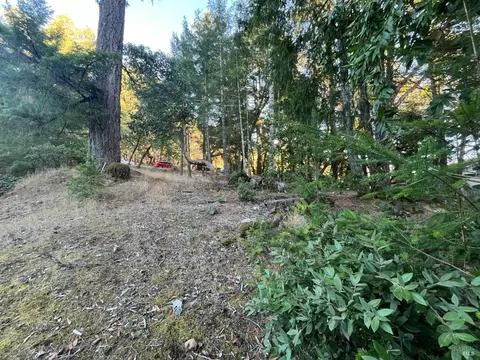 25350 Madrone Pl, Willits, CA 95490 photo 3