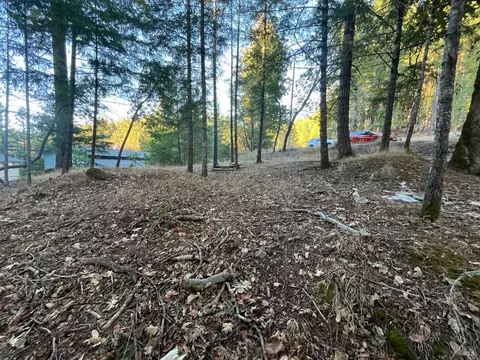 25350 Madrone Pl, Willits, CA 95490 photo 2