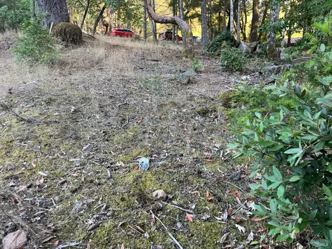25350 Madrone Pl, Willits, CA 95490 photo 4