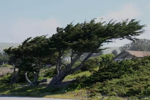 Other - 209 Calle Del Sol, Bodega Bay, CA 94923 photo 23 of 25