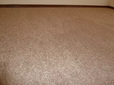 483 E Winter St, Columbia, MO 65202 photo 39