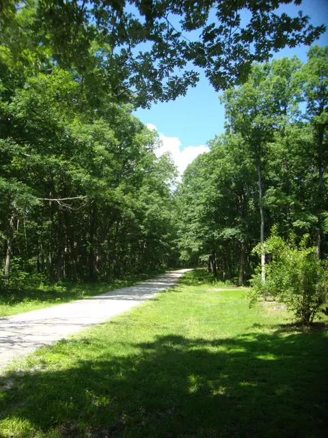 3351 Zenith Dr, Holts Summit, MO 65043 photo 19