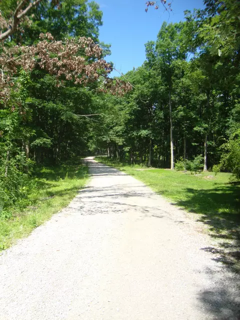 3351 Zenith Dr, Holts Summit, MO 65043 photo 17