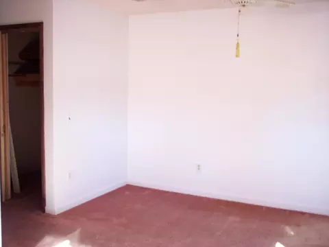 416 E Locust St, Paris, MO 65275 photo 42