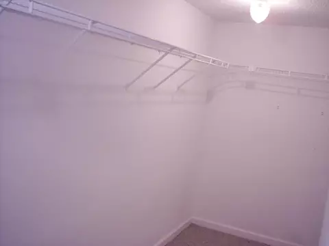 301 E Hickory St, Paris, MO 65275 photo 50