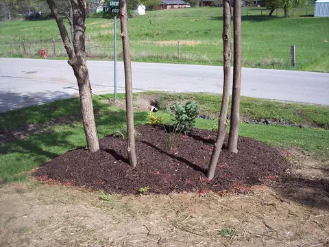 301 E Hickory St, Paris, MO 65275 photo 71