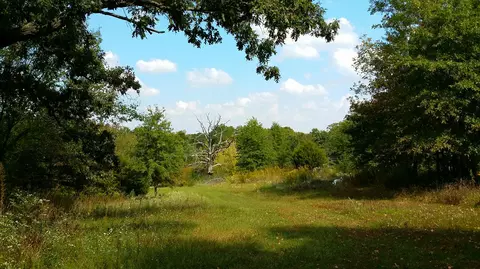5313 State Rd E, Auxvasse, MO 65231 photo 39