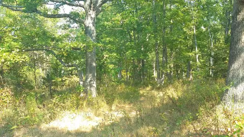 5313 State Rd E, Auxvasse, MO 65231 photo 29