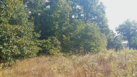 5313 State Rd E, Auxvasse, MO 65231 photo 25