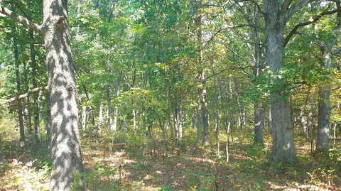 5313 State Rd E, Auxvasse, MO 65231 photo 22