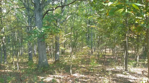 5313 State Rd E, Auxvasse, MO 65231 photo 24