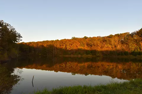 2925 Trails End, Holts Summit, MO 65043 photo 19