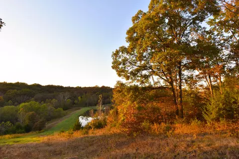 2925 Trails End, Holts Summit, MO 65043 photo 20