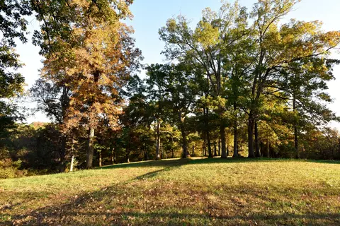 2925 Trails End, Holts Summit, MO 65043 photo 16