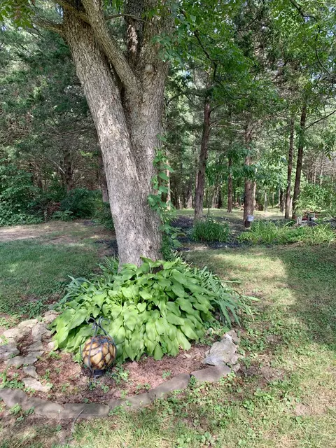 12010 County Rd 4001, Holts Summit, MO 65043 photo 43