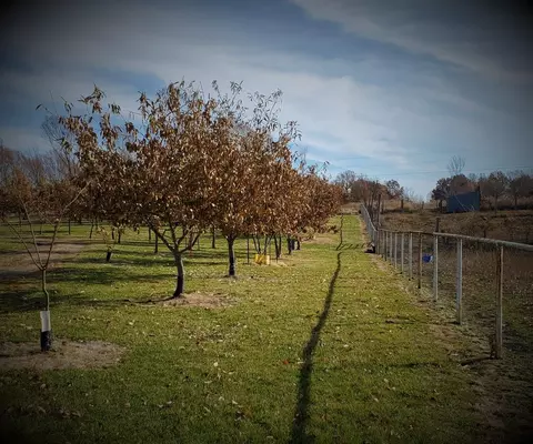 4513 State Road H, Fulton, MO 65251 photo 8
