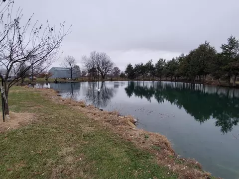 4513 State Road H, Fulton, MO 65251 photo 96