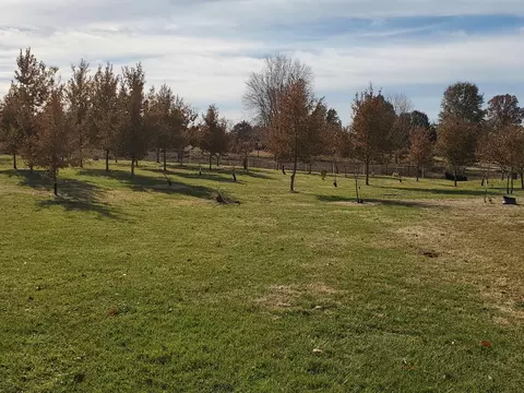 4513 State Road H, Fulton, MO 65251 photo 77