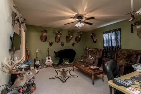 125 Mars St, Holts Summit, MO 65043 photo 21