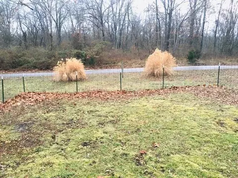 820 E 8th St, Fulton, MO 65251 photo 39