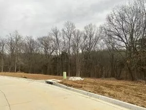 212 Boone Point Subdivision, Boonville, MO 65233