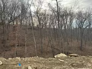 216 Boone Point Subdivision, Boonville, MO 65233