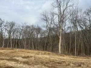 219 Boone Point Subdivision, Boonville, MO 65233