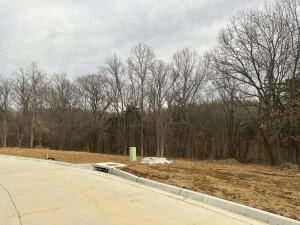 259 Boone Pt Subdivision  