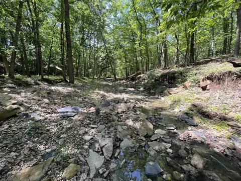 County Road 2460, Moberly, MO 65270 photo 36