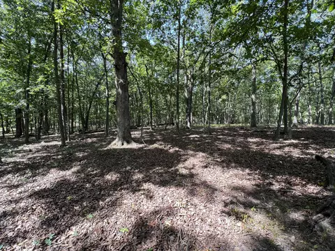 County Road 2460, Moberly, MO 65270 photo 29