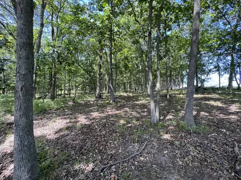 County Road 2460, Moberly, MO 65270 photo 26