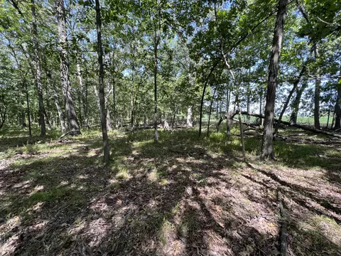 County Road 2460, Moberly, MO 65270 photo 32