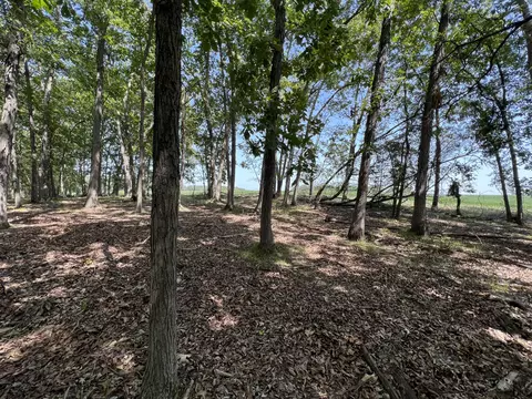 County Road 2460, Moberly, MO 65270 photo 31