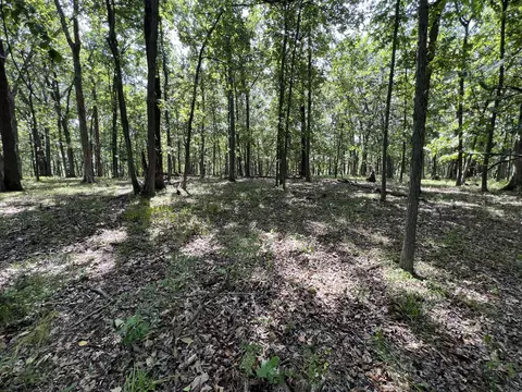 County Road 2460, Moberly, MO 65270 photo 35