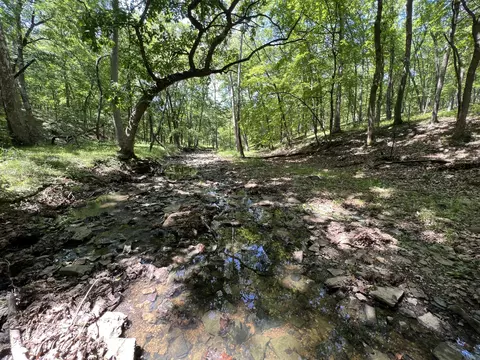County Road 2460, Moberly, MO 65270 photo 37