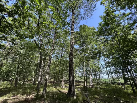 County Road 2460, Moberly, MO 65270 photo 34