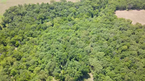 County Road 2460, Moberly, MO 65270 photo 15