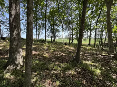 County Road 2460, Moberly, MO 65270 photo 28