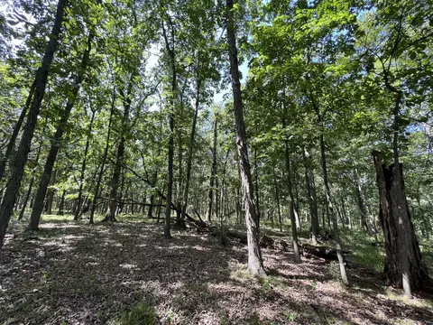 County Road 2460, Moberly, MO 65270 photo 33