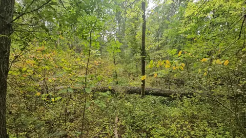 Tbd County Road 374, Labelle, MO 63447 photo 5