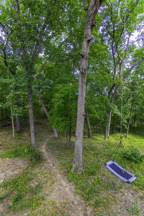 1241 Branch Rd, Holts Summit, MO 65043 photo 19