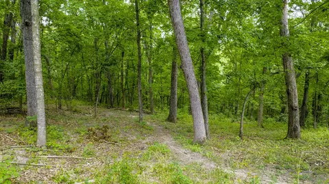 1241 Branch Rd, Holts Summit, MO 65043 photo 22