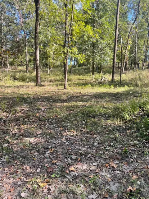 7050 State Road J, Fulton, MO 65251 photo 16