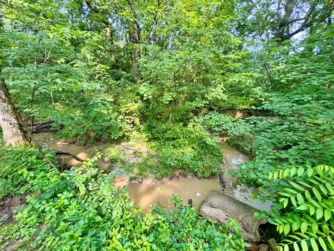 5625 Wise Dr, Fulton, MO 65251 photo 30