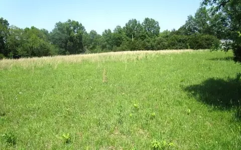 tbd N Hwy Jay Jay 108 Acres, Centralia, MO 65240 photo 4