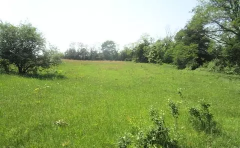 tbd N Hwy Jay Jay 108 Acres, Centralia, MO 65240 photo 8