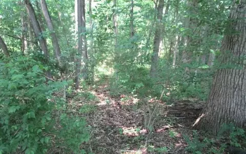 tbd N Hwy Jay Jay 108 Acres, Centralia, MO 65240 photo 10