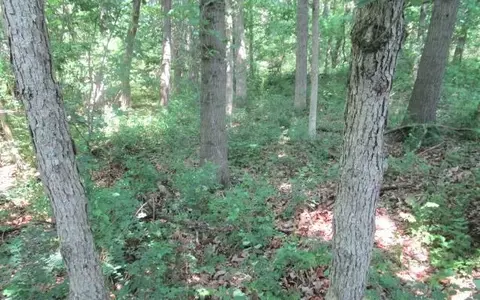 tbd N Hwy Jay Jay 108 Acres, Centralia, MO 65240 photo 13