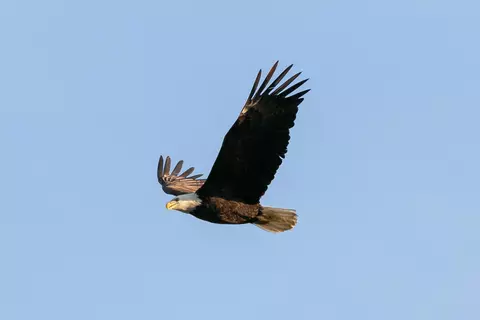 tbd Ostrich Pl, Anabel, MO 63552 photo 21